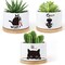 3PCS Funny Printed Ceramic Plant Pots – Succulent Planters with Drainage & Saucers, Gift for Women